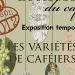 Expo "les variétés de caféiers" pour l'écomusée du café à Voh